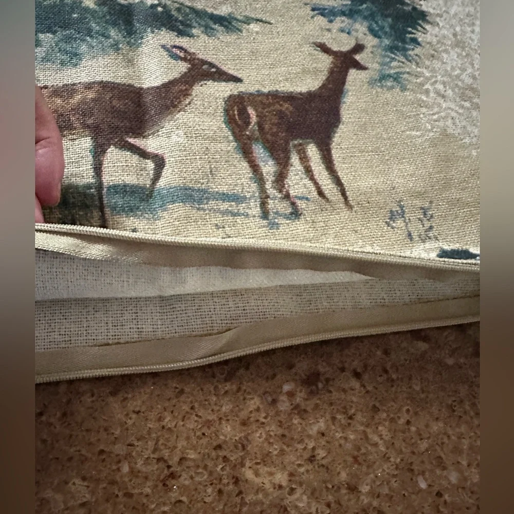 Pottery Barn - Winter Throw Pillow Cover Cases